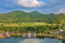 麻豆经济app能约吗-麻豆经济app，邂逅自由与真实的线上经济新生态