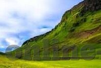 免费av观看麻豆-麻豆，不只是普通词汇——浅谈网络搜索的多元化趋势与道德考量
