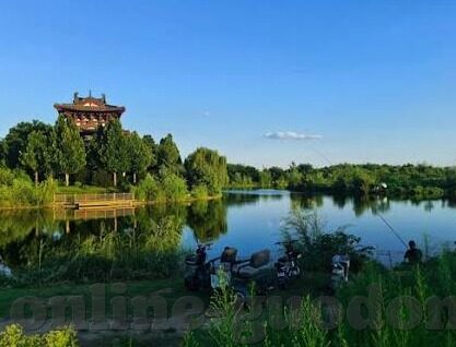 奶水中文字幕在线-奶水与中文字幕的探索，一个被误解的领域