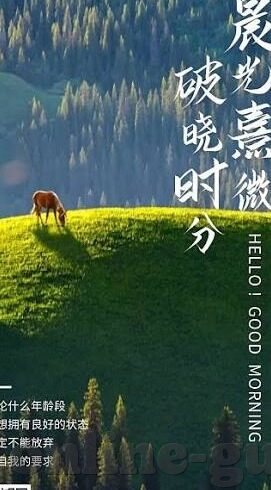 哪里能看麻豆传媒视频-欣赏风光的艺术殿堂，探寻麻豆工作室的视觉盛宴