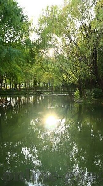 日韩av有码-探索日韩AV有码现象，文化、审美与市场视角的深度剖析
