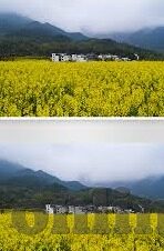 糖心vlog2021新版下载-尽情体验，糖心Vlog 2021新版 下载之旅