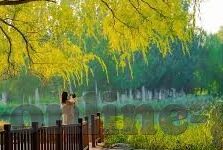 糖心VLOG官网-糖心VLOG官网，热爱生活的在线乐园