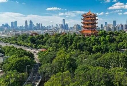 www.av麻豆.com-AV麻豆，成人领域中的网络创新社区